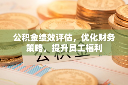 连平公积金绩效评估，优化财务策略，提升员工福利
