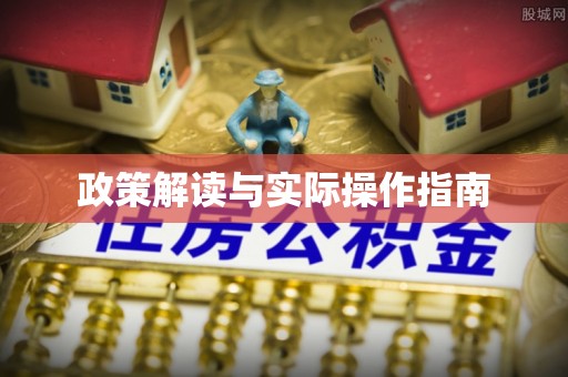 连平政策解读与实际操作指南