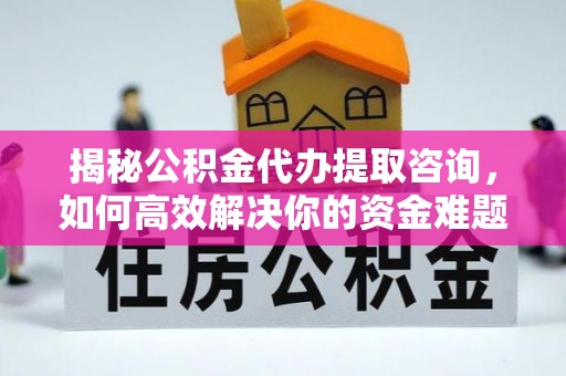 连平揭秘公积金代办提取咨询，如何高效解决你的资金难题