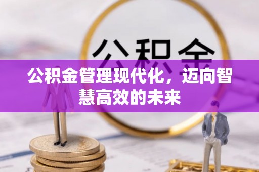 连平公积金管理现代化，迈向智慧高效的未来