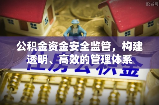 连平公积金资金安全监管，构建透明、高效的管理体系
