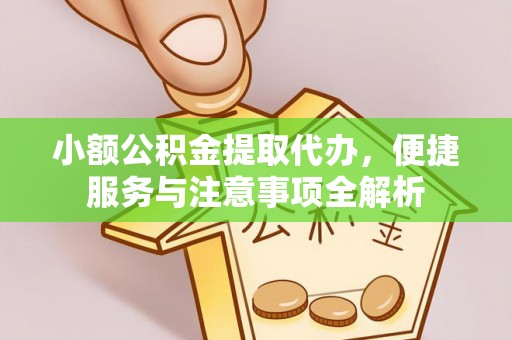 连平小额公积金提取代办，便捷服务与注意事项全解析