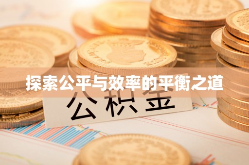 连平探索公平与效率的平衡之道