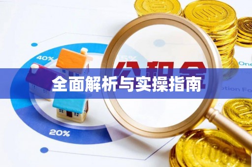 连平全面解析与实操指南