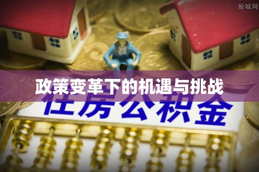 连平政策变革下的机遇与挑战