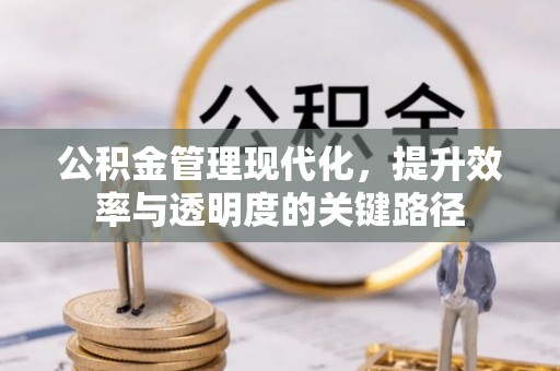 连平公积金管理现代化，提升效率与透明度的关键路径