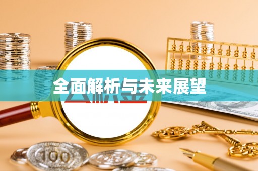 连平全面解析与未来展望