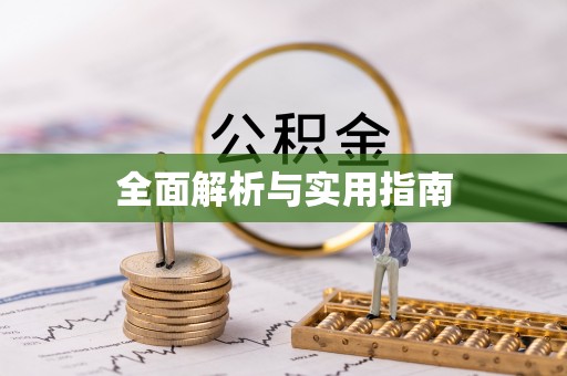 连平全面解析与实用指南
